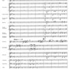 Southern Music Company POPP: La Chasse (Galop Brillante) for Flute and Symphonic Band / full score