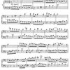 RUBANK Selected Duets for Trombone 1 (easy-medium) / Vybraná dueta pro pozouny (trombóny) 1 (snadné - středně pokročilé)