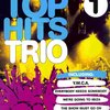 Hal Leonard MGB Distribution TOP HITS TRIO 1 / zobcová flétna - trio (SAA)