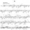 MALLETWORKS MUSIC Concerto for Vibraphone&Orchestra (Piano Reduction) by Ney Rosauro
