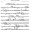 Alphonse Leduc CONCERTINO by FRACKENPOHL ARTHUR / tuba&orchestra (piano reduction)