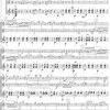 AMOS Editio, s.r.o. Nejkrásnější valčíky - Johann Strauss          dva nástroje ladění C&guitar
