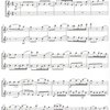 Editio Bärenreiter CLASSIC HITS for 2 FLUTES / oblíbené klasické skladby pro 2 příčné flétny