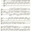 Editio Bärenreiter A TRE - PAVANE op.50 by Gabriel FAURE pro tři příčné flétny