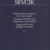Editio Bärenreiter OtakarŠevčík - Opus 8,  Výměny poloh a průprava ke cvičení stupnic