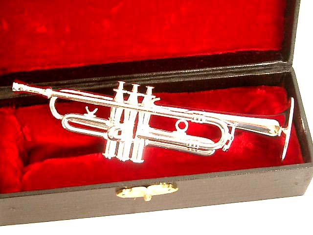 Clarina Music Miniatura trumpeta stříbrná + kufřík