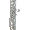 Roy Benson FL-602E - příčná flétna, studentský model