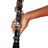 BG Franck Bichon vytěrák pro Es klarinet a soprán saxofon A33