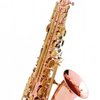 Buffet Crampon Es alt saxofon BC2525-7B-0 - SENZO
