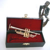 Clarina Music Miniatura trumpeta zlatá + kufřík