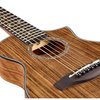 Ibanez EWP14WB-OPN kytarové akustické ukulele