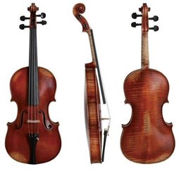 GEWA music violoncello 1/2 - Instrumenti Liuteria Concerto