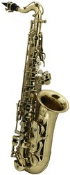 GEWA music ROY BENSON Eb - Alt saxofon pro děti AS - 201 Student serie