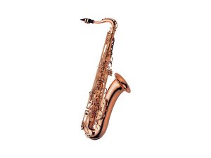 YANAGISAWA Bb - Tenor saxofon Bronze Serie T - 902