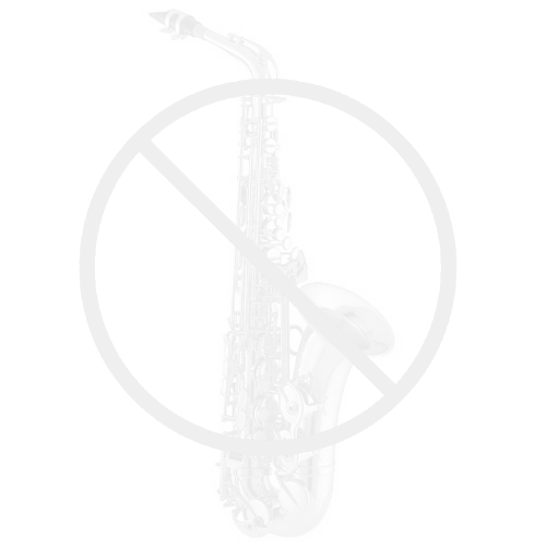 BAM Cases 3027MSC Trekking pouzdro pro 1 klarinet  B + notový pul, barva: Black Carbon